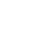 change language icon
