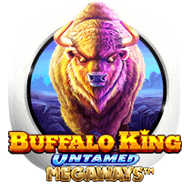 online casino item