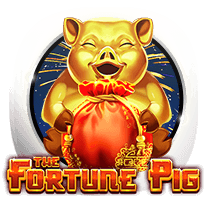 online casino item